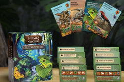 Bundle 3 – All-in-One